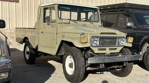 Toyota Land Cruiser 1981 1981 occasion Lyon 69002