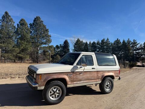 Ford Bronco 1986 1986 occasion Lyon 69002