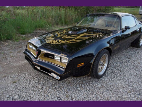 Pontiac TransSport 1977 1977 occasion Lyon 69002