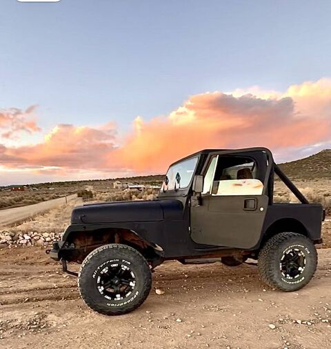 Jeep Wrangler 1990 1990 occasion Lyon 69002