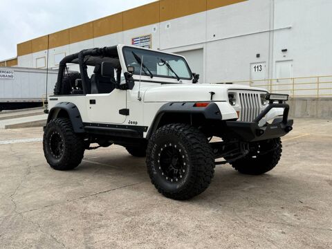 Jeep Wrangler 1987 1987 occasion Lyon 69002