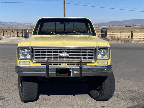 Chevrolet Divers 1973 1973 occasion Lyon 69002