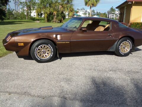 Pontiac Firebird 1979 1979 occasion Lyon 69002
