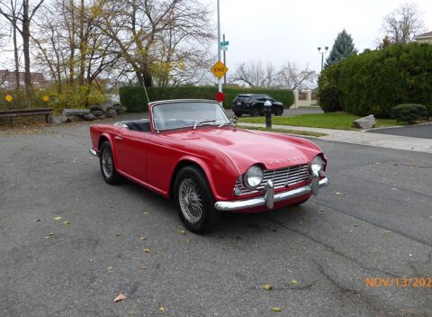 Triumph Divers 1965 1965 occasion Lyon 69002