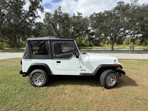 Jeep Wrangler 1992 1992 occasion Lyon 69002
