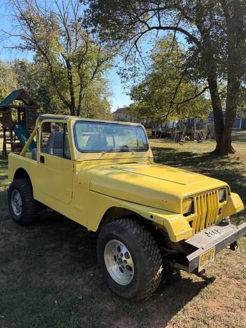 Jeep Wrangler 1991 1991 occasion Lyon 69002
