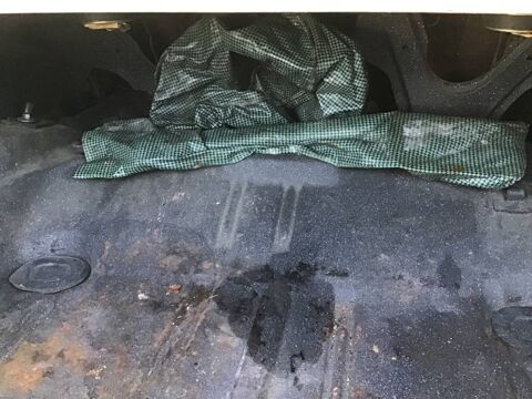 Firebird 1968 1968 occasion 69002 Lyon