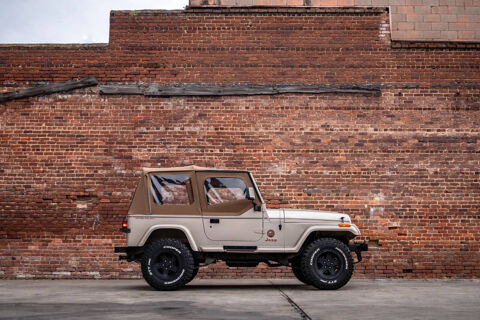 Jeep Wrangler 1993 1993 occasion Lyon 69002