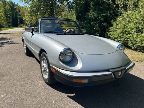 Alfa Romeo Spider 1984 1984 occasion Lyon 69002