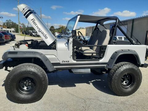 Jeep Wrangler 1988 1988 occasion Lyon 69002