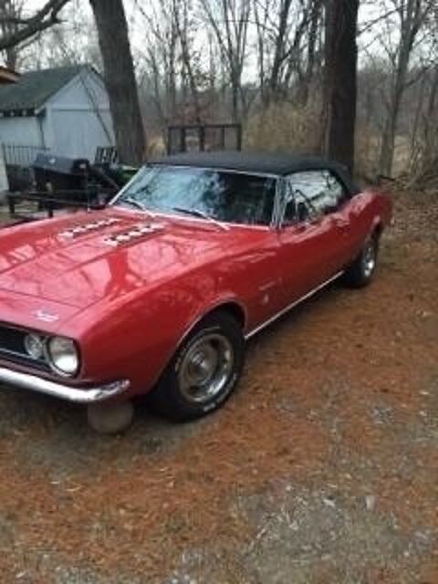 Chevrolet Camaro 1967 1967 occasion Lyon 69002