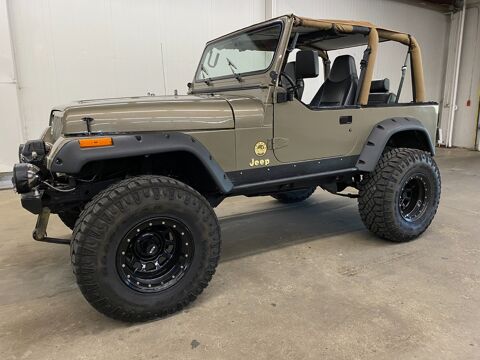 Jeep Wrangler 1990 1990 occasion Lyon 69002