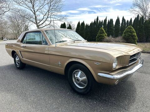 Ford Mustang 1964 1964 occasion Lyon 69002