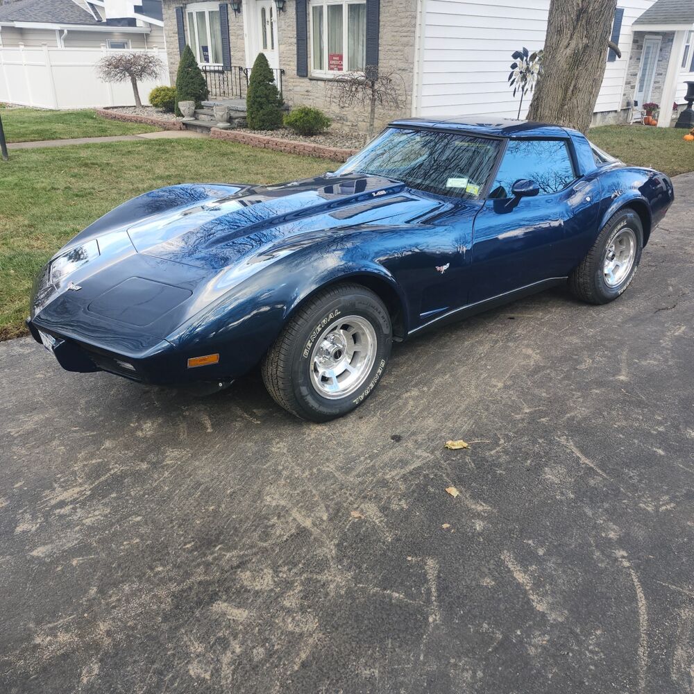 Corvette 1979 1979 occasion 69002 Lyon