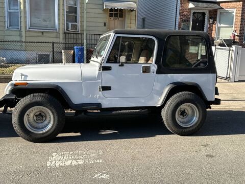 Jeep Wrangler 1988 1988 occasion Lyon 69002