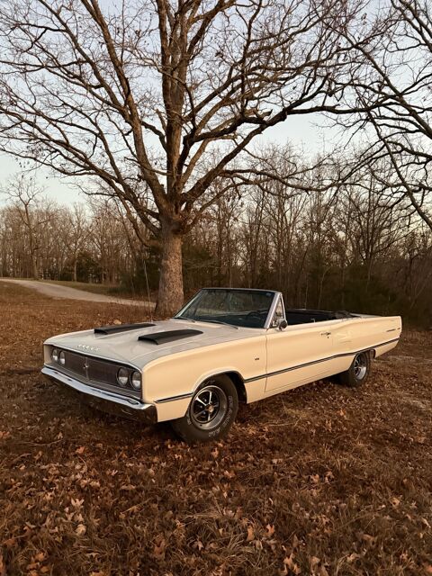 Dodge Divers 1967 1967 occasion Lyon 69002