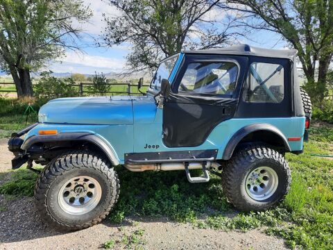 Jeep Divers 1979 1979 occasion Lyon 69002