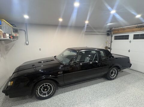 Buick Divers 1987 1987 occasion Lyon 69002