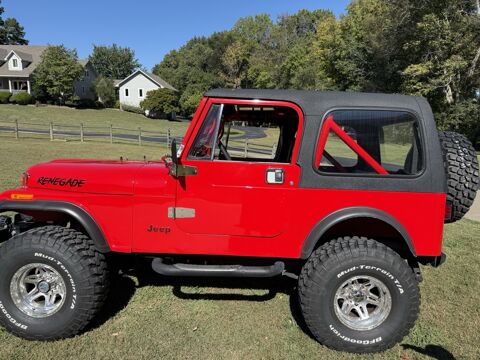 Jeep Wrangler 1986 1986 occasion Lyon 69002