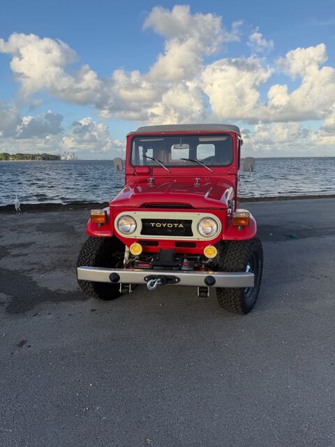 Toyota Land Cruiser 1977 1977 occasion Lyon 69002