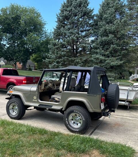 Jeep Wrangler 1991 1991 occasion Lyon 69002