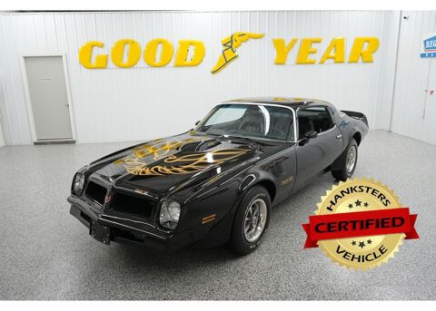 Pontiac Firebird 1976 1976 occasion Lyon 69002