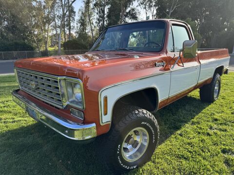 Chevrolet Divers 1975 1975 occasion Lyon 69002