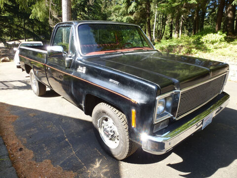 GMC Sierra 1977 1977 occasion Lyon 69002