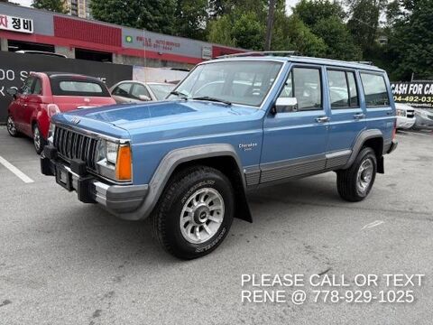 Jeep Cherokee 1989 1989 occasion Lyon 69002