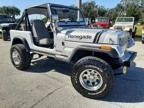 Jeep Wrangler 1994 1994 occasion Lyon 69002