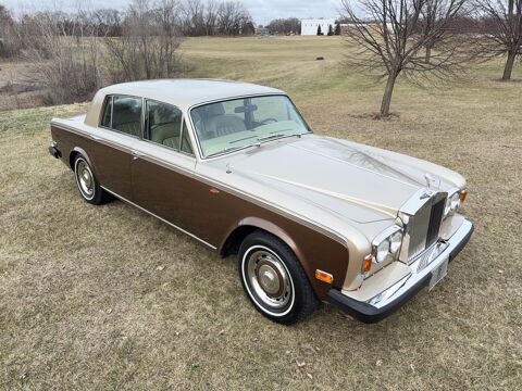 Rolls-Royce Silver Dawn 1978 1978 occasion Lyon 69002