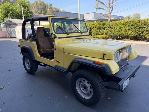 Jeep Wrangler 1992 1992 occasion Lyon 69002