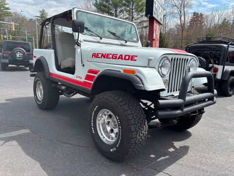 Jeep Renegade 1973 1973 occasion Lyon 69002