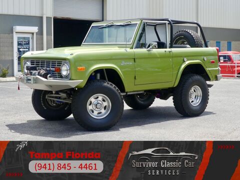 Ford Bronco 1973 1973 occasion Lyon 69002