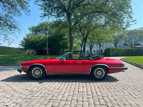 Jaguar XJS 1993 1993 occasion Lyon 69002