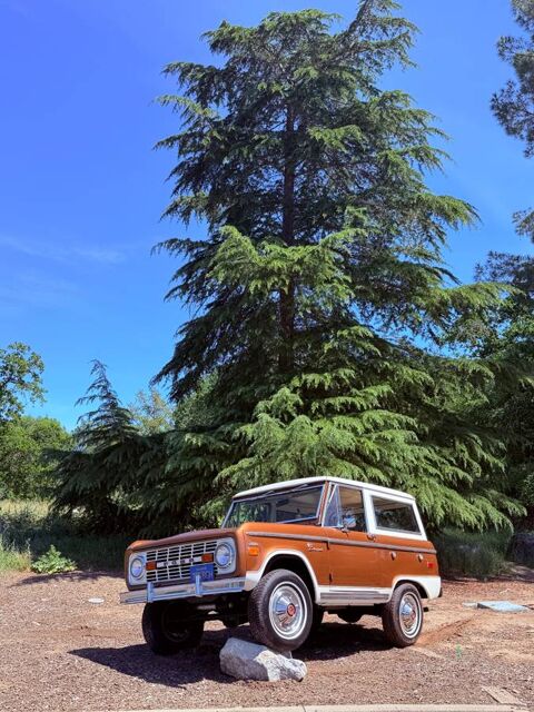 Ford Bronco 1970 1970 occasion Lyon 69002