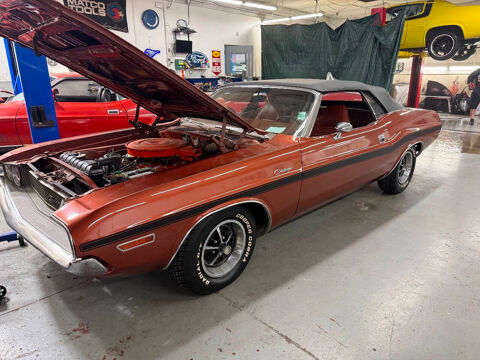 Dodge Challenger 1970 1970 occasion Lyon 69002