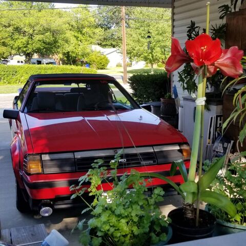 Toyota Celica 1985 1985 occasion Lyon 69002