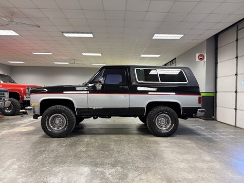 Chevrolet Blazer 1989 1989 occasion Lyon 69002