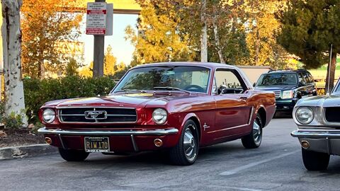 Ford Mustang 1965 1965 occasion Lyon 69002