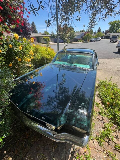 Ford Mustang 1966 1966 occasion Lyon 69002