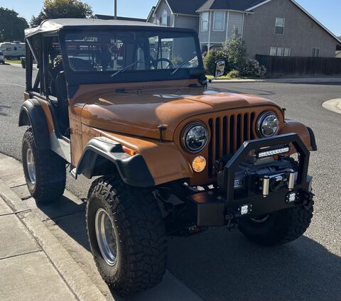 Jeep Divers 1973 1973 occasion Lyon 69002