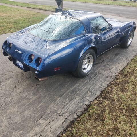 Corvette 1979 1979 occasion 69002 Lyon