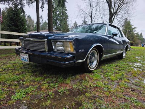 Chevrolet Divers 1978 1978 occasion Lyon 69002