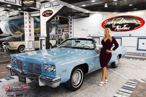 Oldsmobile Divers 1975 1975 occasion Lyon 69002