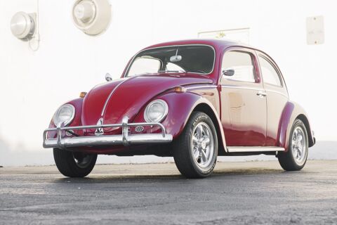 Volkswagen Beetle 1964 1964 occasion Lyon 69002