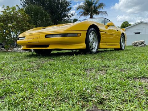 Chevrolet Corvette 1993 1993 occasion Lyon 69002