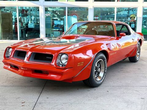 Pontiac Firebird 1976 1976 occasion Lyon 69002