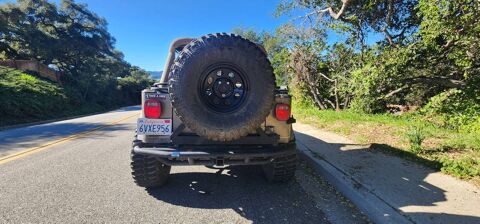 Jeep Wrangler 1989 1989 occasion Lyon 69002