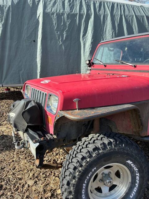 Jeep Wrangler 1991 1991 occasion Lyon 69002